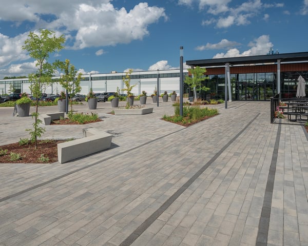 pave-arbres-plantes-table-picnic